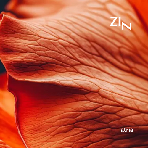 atria EP cover art